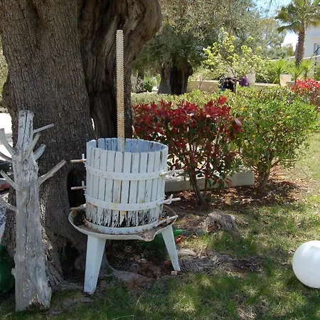 Tenuta Verdolivo 奥斯图尼