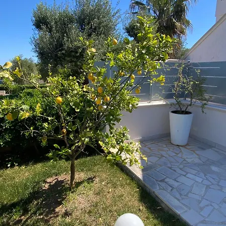 Tenuta Verdolivo Bed and Breakfast