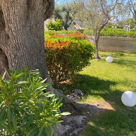 Tenuta Verdolivo Bed and Breakfast Ostuni